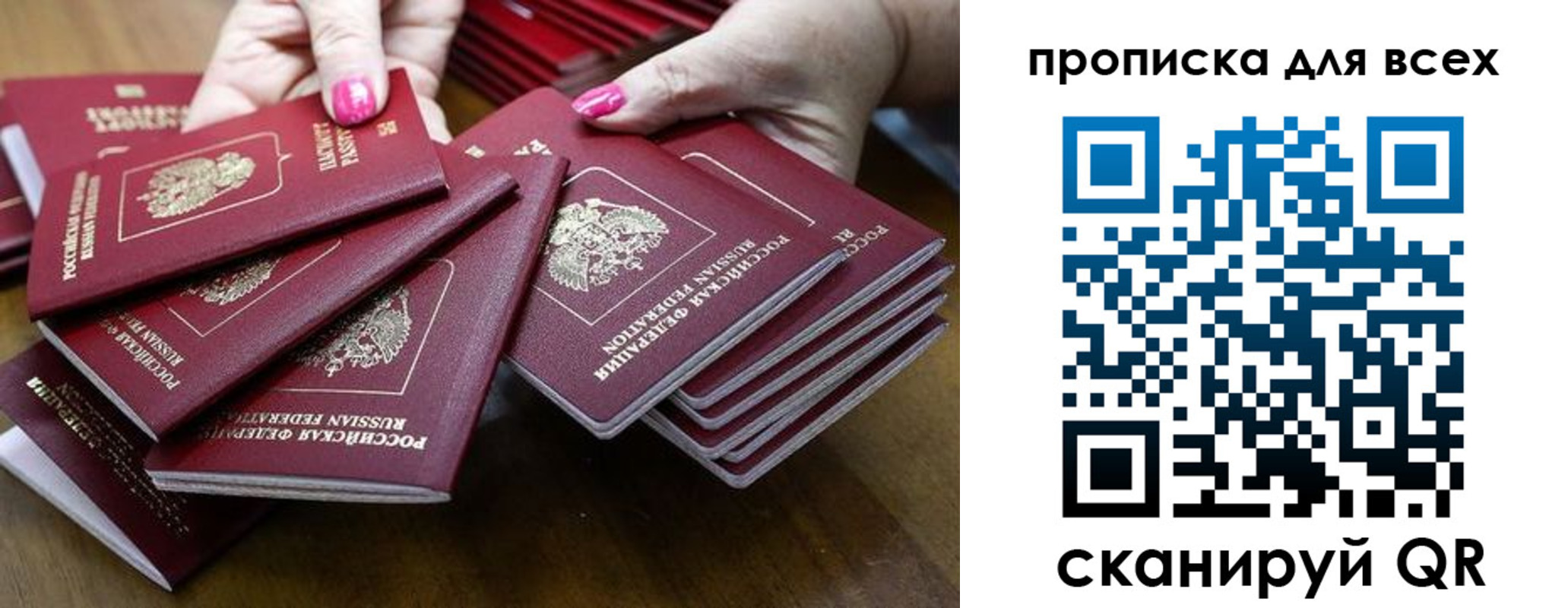 прописка гарантия в Луге